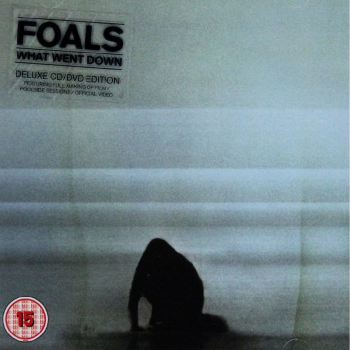 Foals: What Went Down [DVD]+[CD]