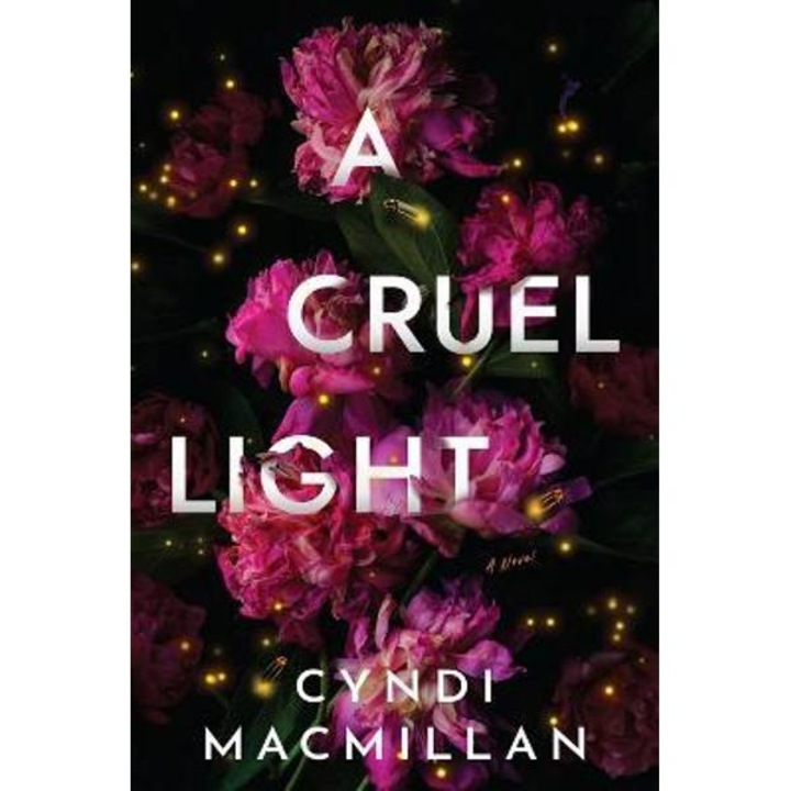 A Cruel Light - Cyndi Macmillan