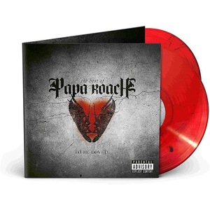 Vinyl-uri si cd-uri muzica