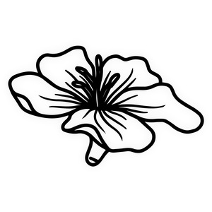 Accesorii pentru petrecere