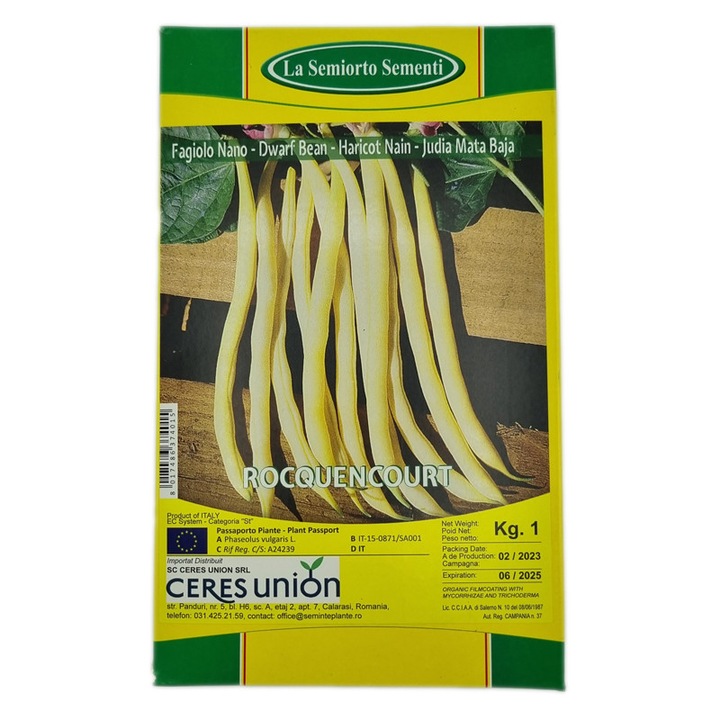 Seminte de fasole Rocquencourt, 1 Kilogram