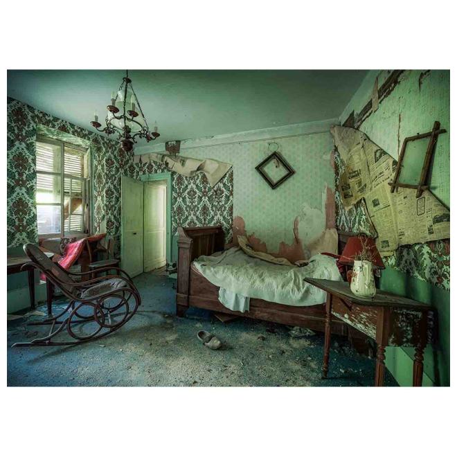 Puzzle Camera Parasita, 1000 piese