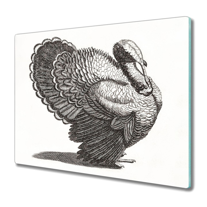 Vágódeszka, Coloray, Üveg, Négyszögletes, Rajz Állat Madár Türkiye Art, Többszínű, 60 cm x 52 cm, 010010520040000018245