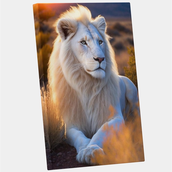 Tablou Canvas Cu Portret Leu Alb Stand In Natura, Rasarit DE Soare, Razele Soarelui, Natura, Arta Abastracta, 25x40 cm, Multicolor