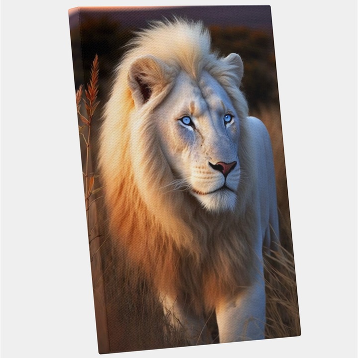 Tablou Canvas Cu Portret Leu Alb Cu Ochii Albastri Mergand In Natura, Rasarit DE Soare, Razele Soarelui, Natura, Arta Abastracta, 25x40 cm, Multicolor