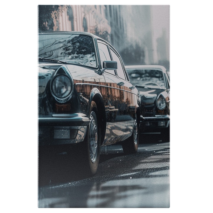 Tablou Canvas Cu Coloane Masini In Stralucitoare, Balta PE sosea, Iubitorii De Masini 25x40 cm, Multicolor