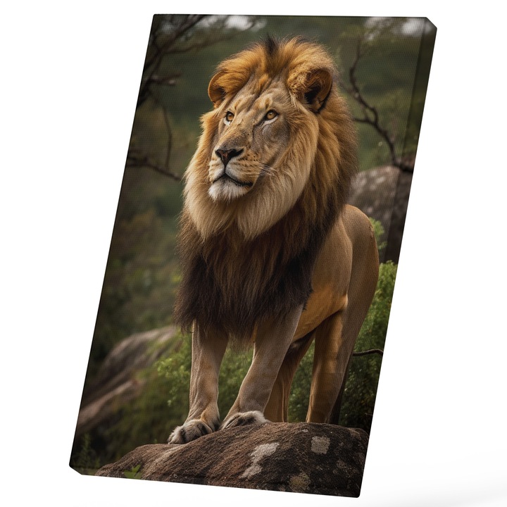 Tablou Canvas Cu Regele Junglei, In Natura, Leu Puternic, Iubitorii De Animale Salbatice 25x40 cm, Multicolor