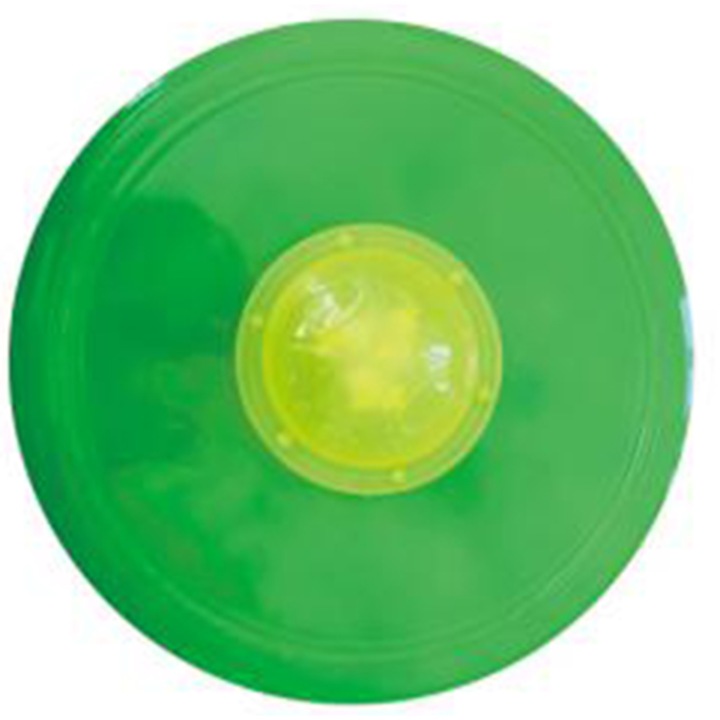 Frisbee pentru copii, Trifox, Plastic, 23 cm, Verde