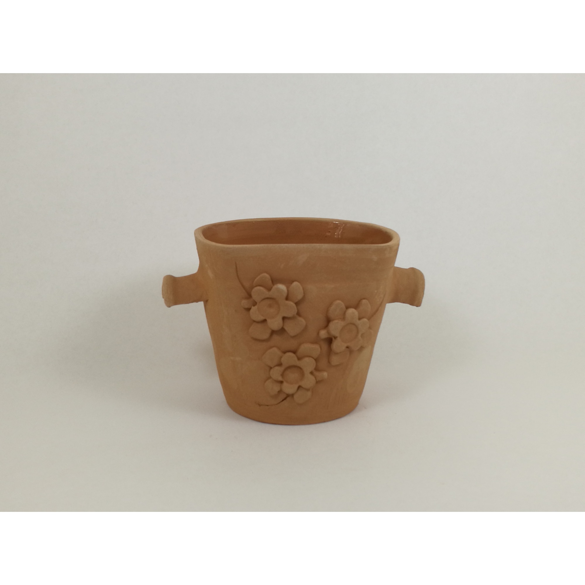 Ghiveci cu toarte si flori