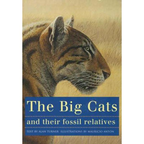 Big Cats and Their Fossil Relatives