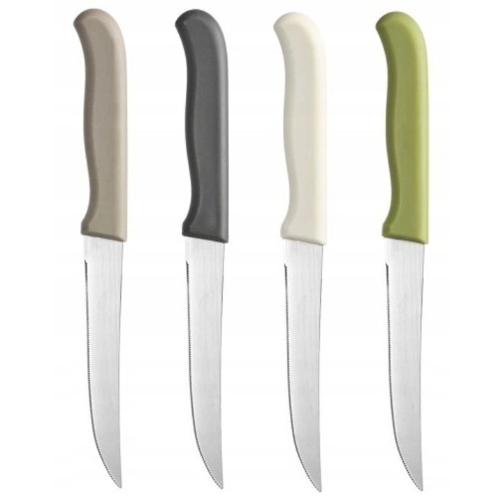 Set 4 cutite de bucatarie, Galicja, Otel/Plastic, Multicolor, 21 cm