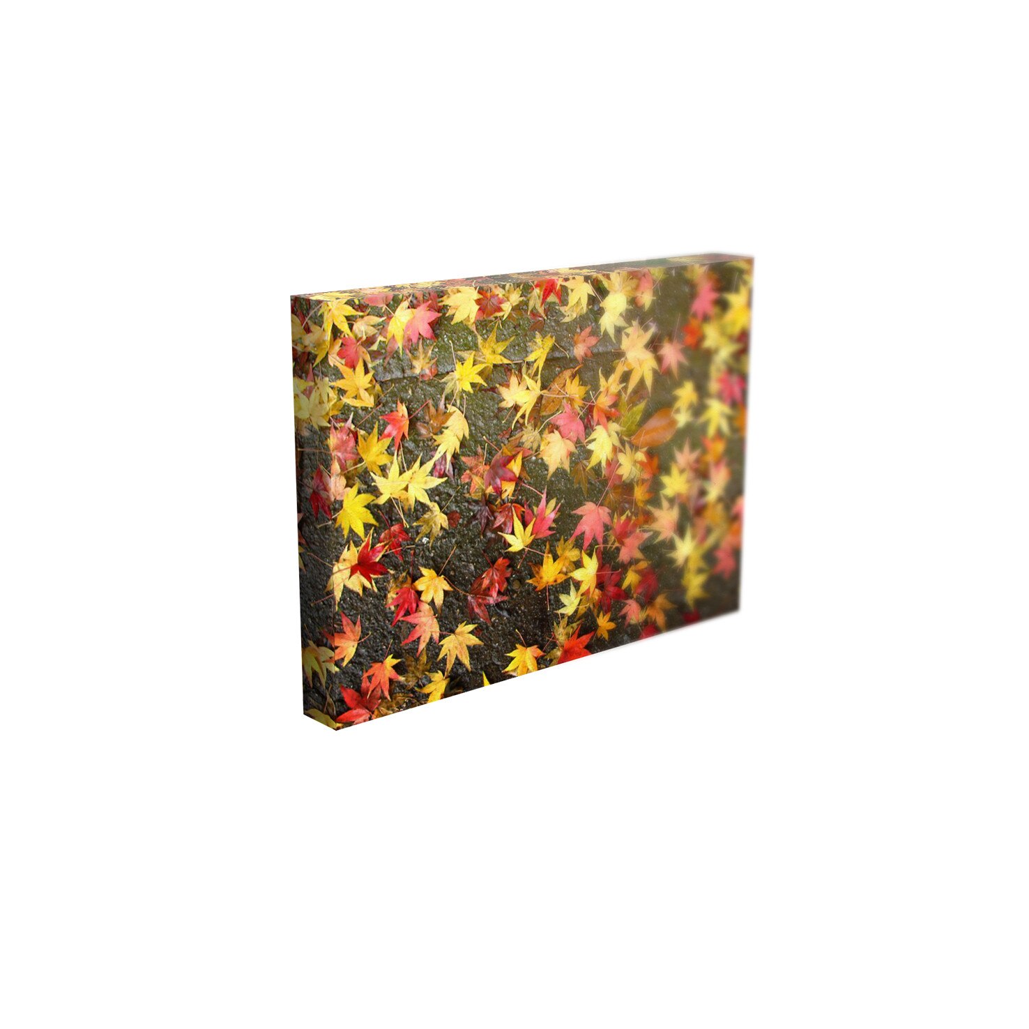 Tablou Canvas - „Frunze”- 40cm x 60cm