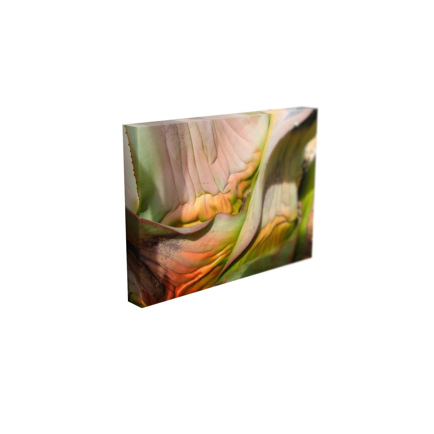 Tablou Canvas - „Abstract”- 40cm x 60cm