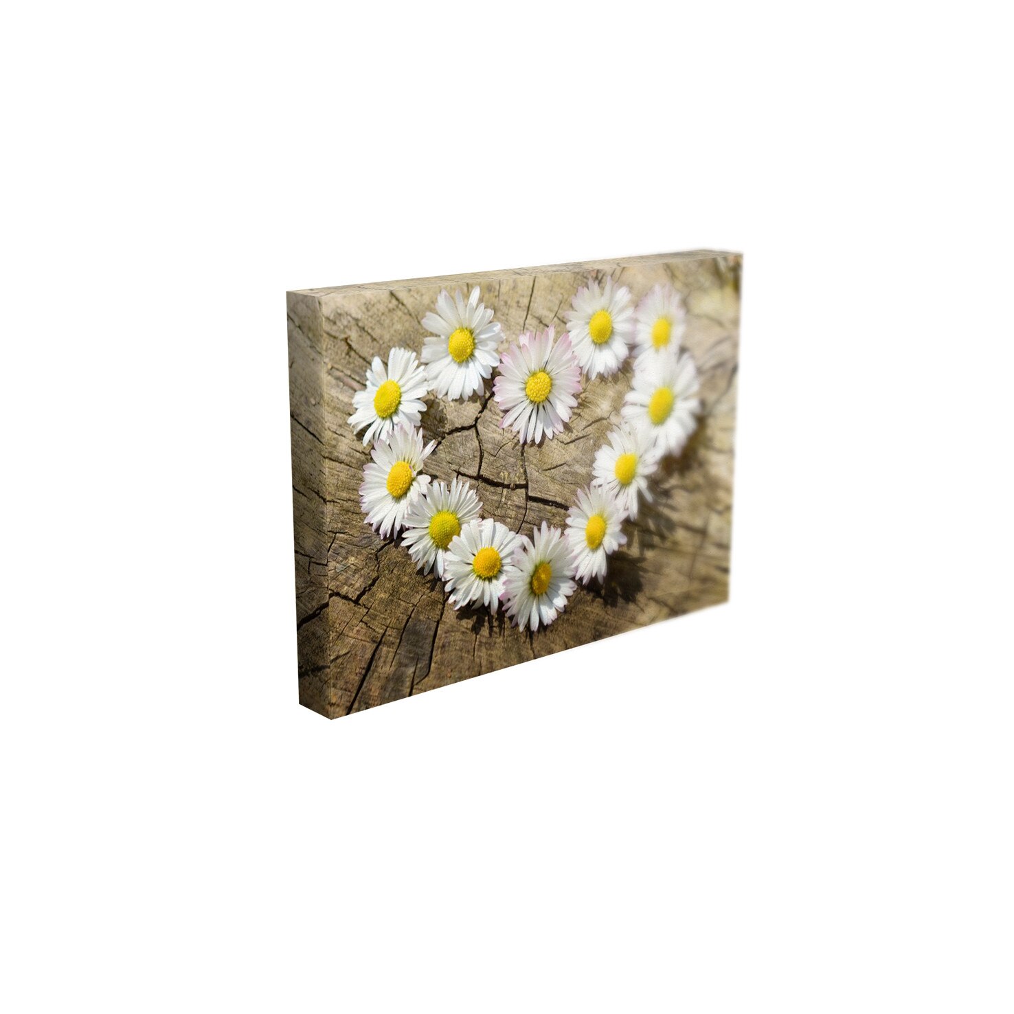 Tablou Canvas - „Inima Margarete”- 60cm x 90cm