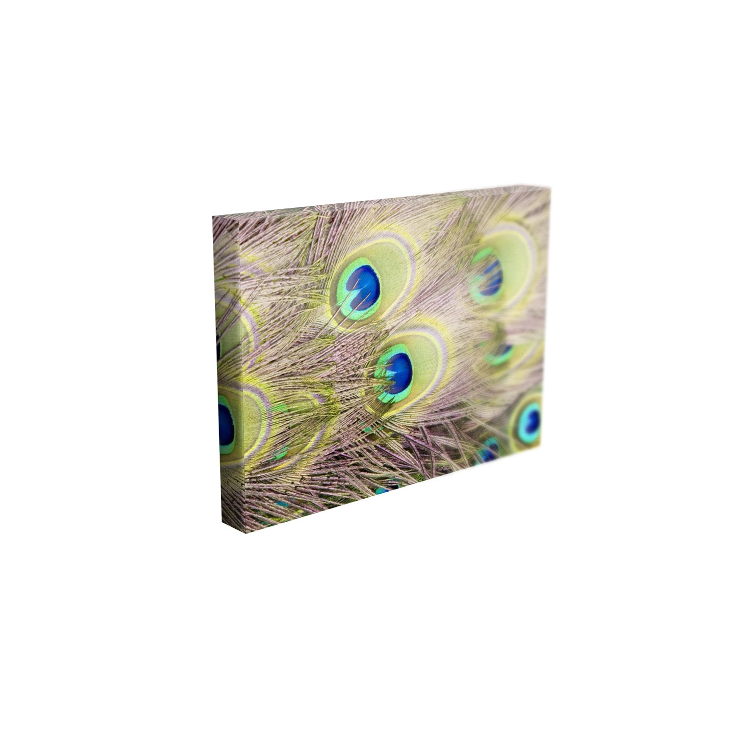 Tablou Canvas - „Coada paun”- 60cm x 90cm