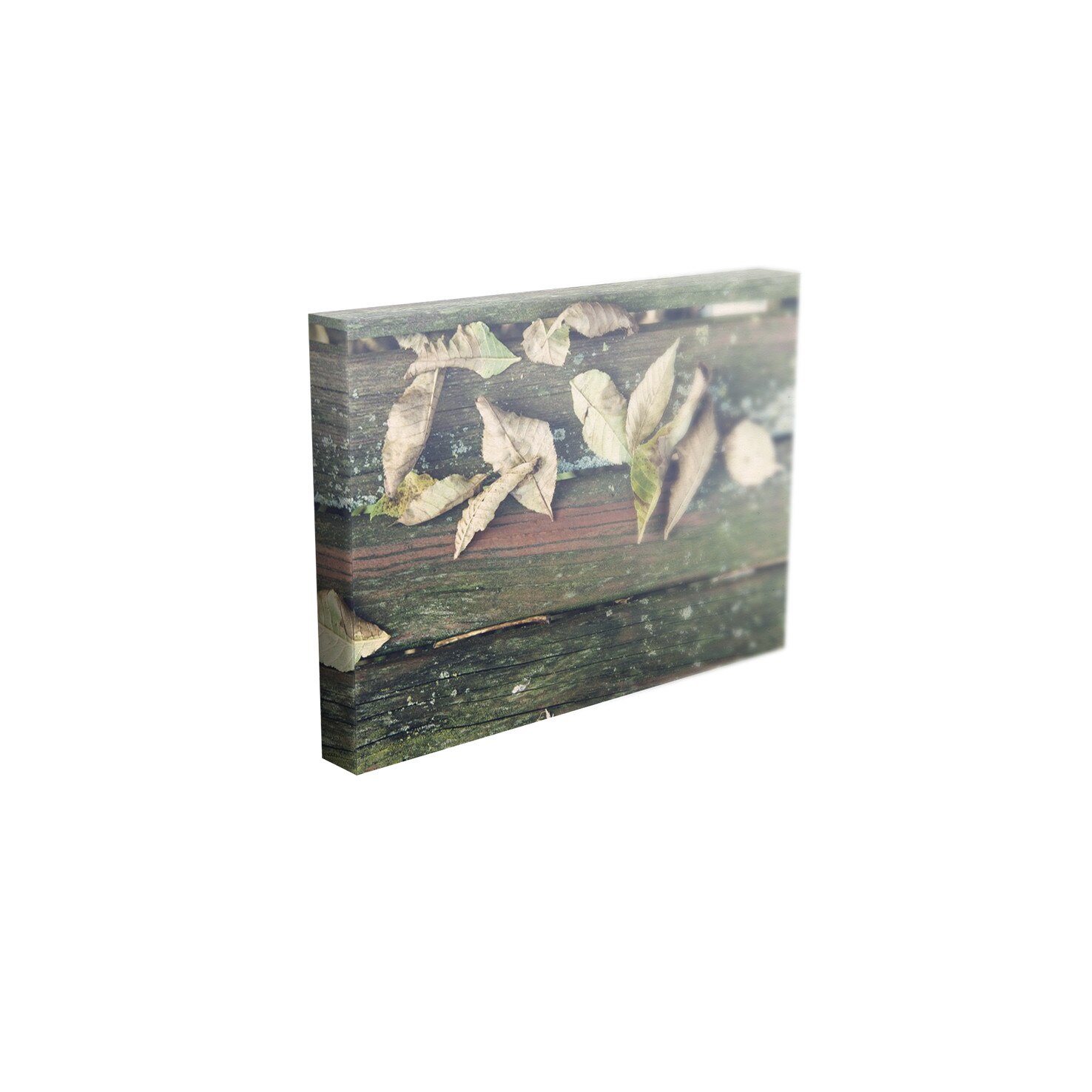 Tablou Canvas - „Frunze”- 40cm x 60cm