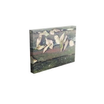 Tablou Canvas - „Frunze”- 80cm x 120cm Tablou Canvas - „Frunze”- 80cm x 120cm
