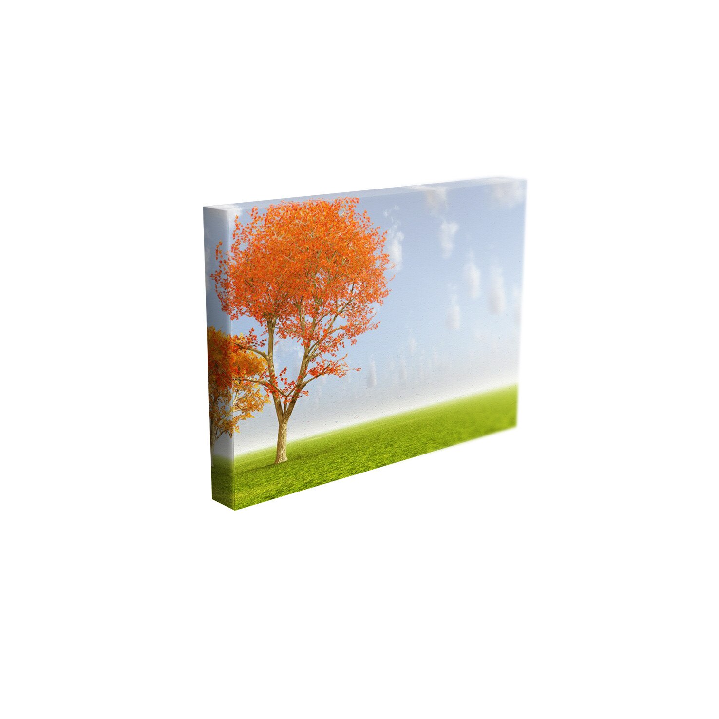 Tablou Canvas - „Peisaj abstract”- 40cm x 60cm