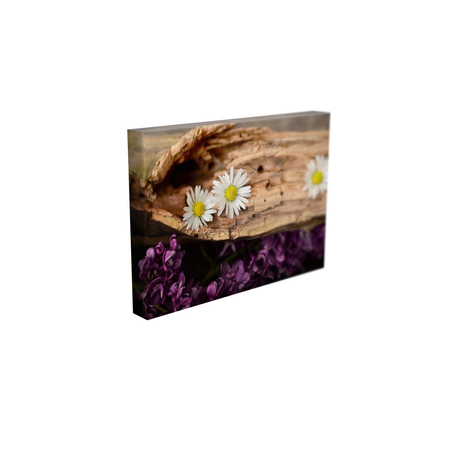 Tablou Canvas - „Flori”- 80cm x 120cm