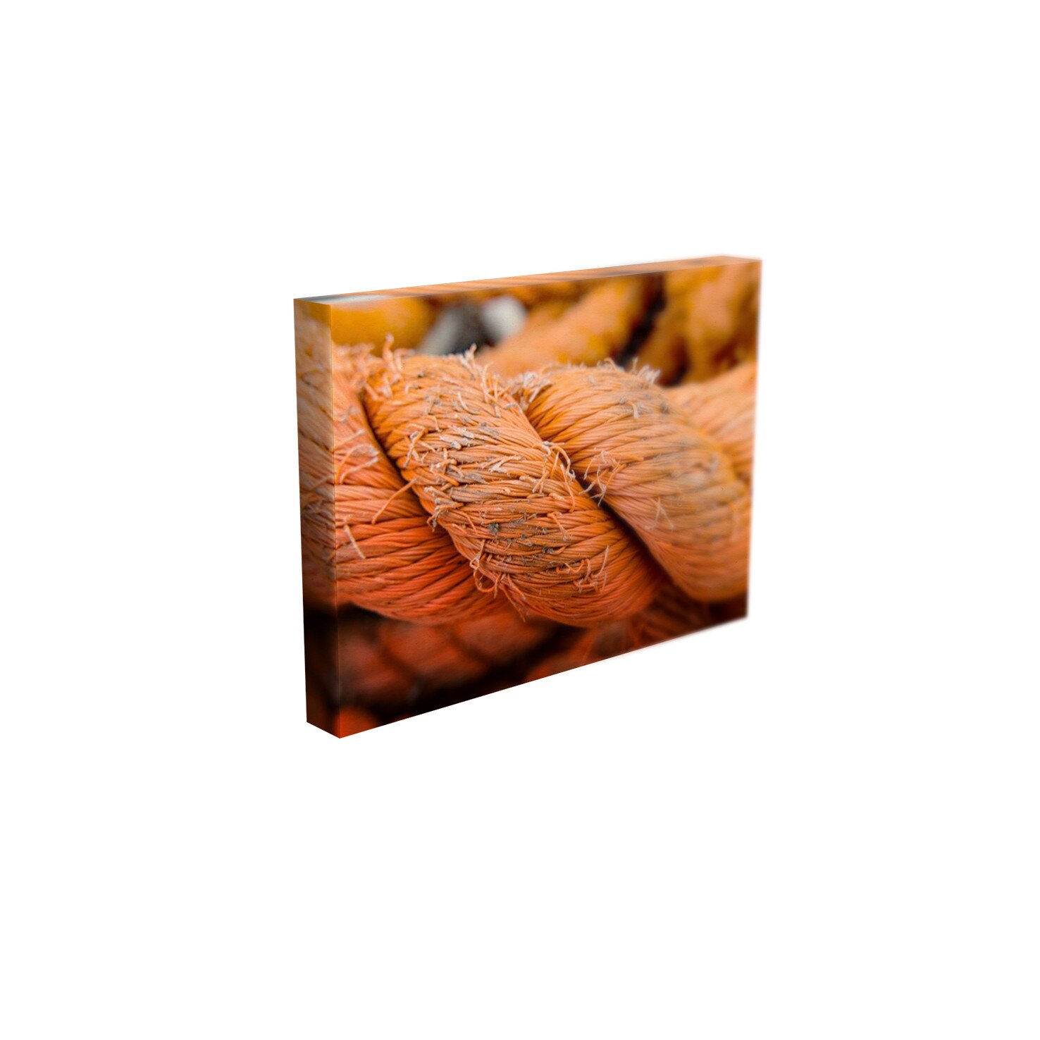 Tablou Canvas - „Fir rasucit”- 60cm x 90cm