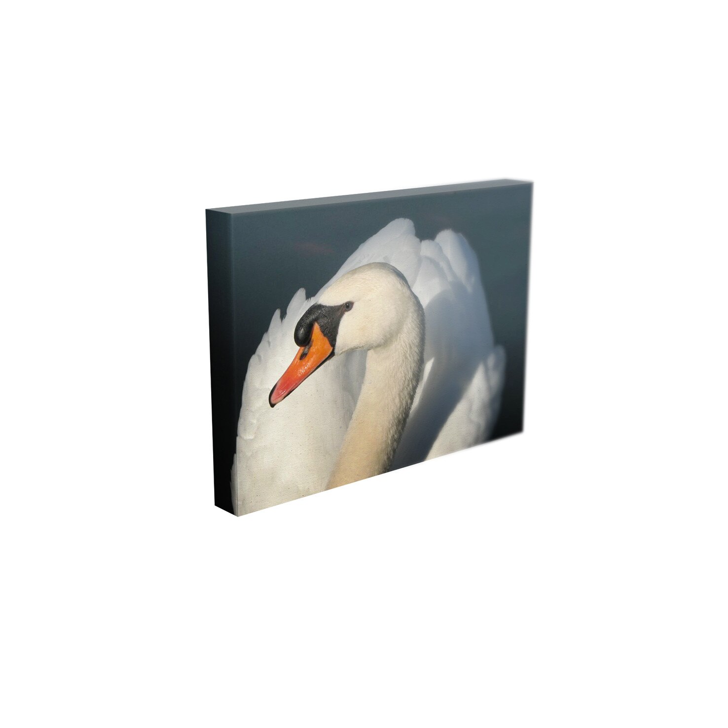 Tablou Canvas - „Lebada”- 40cm x 60cm