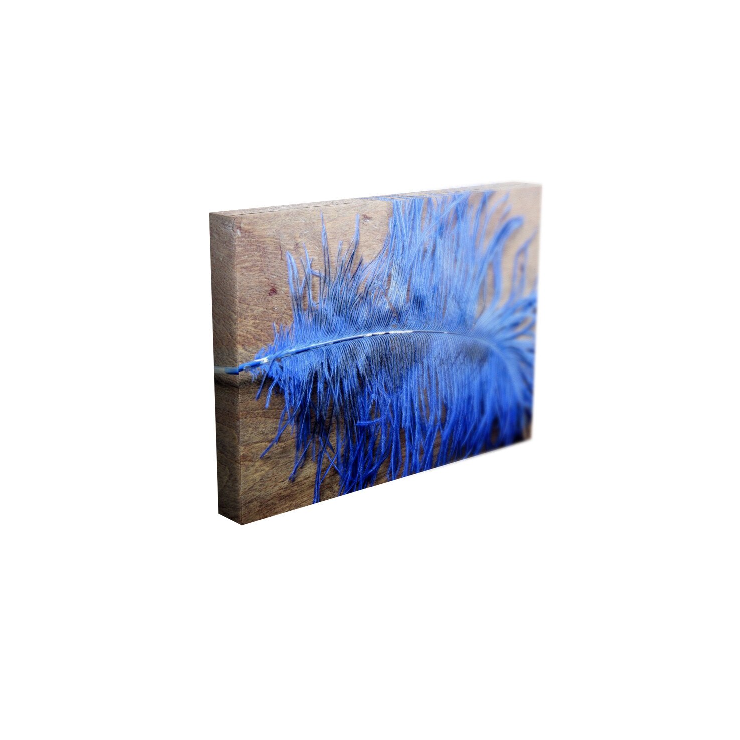 Tablou Canvas - „Fulg albastru”- 60cm x 90cm