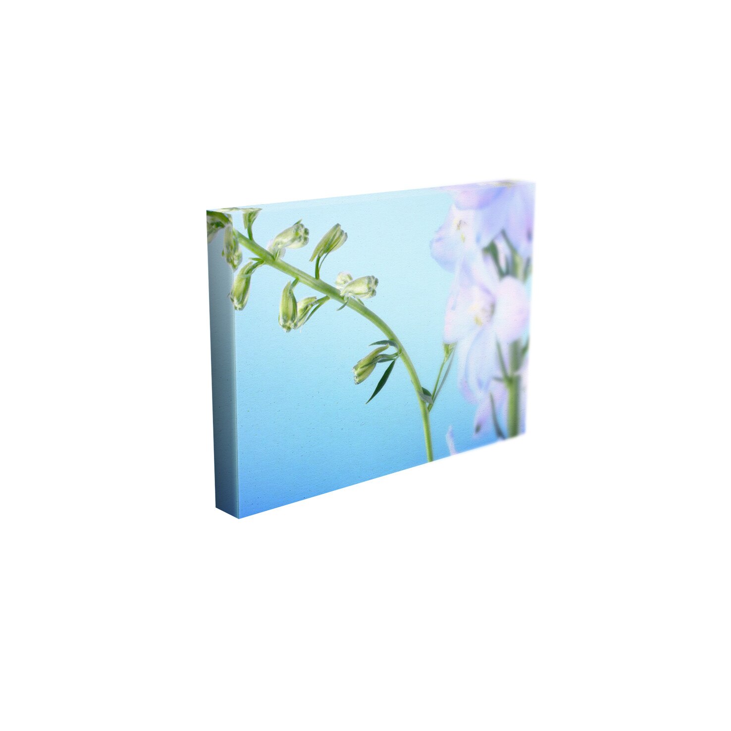 Tablou Canvas - „Floare”- 60cm x 90cm