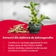 StressClean Complex, Sun Wave Pharma, за стрес, 60 таблетки