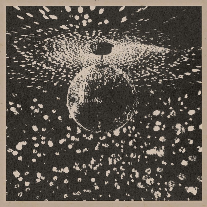 Neil Young: Mirror Ball [CD]
