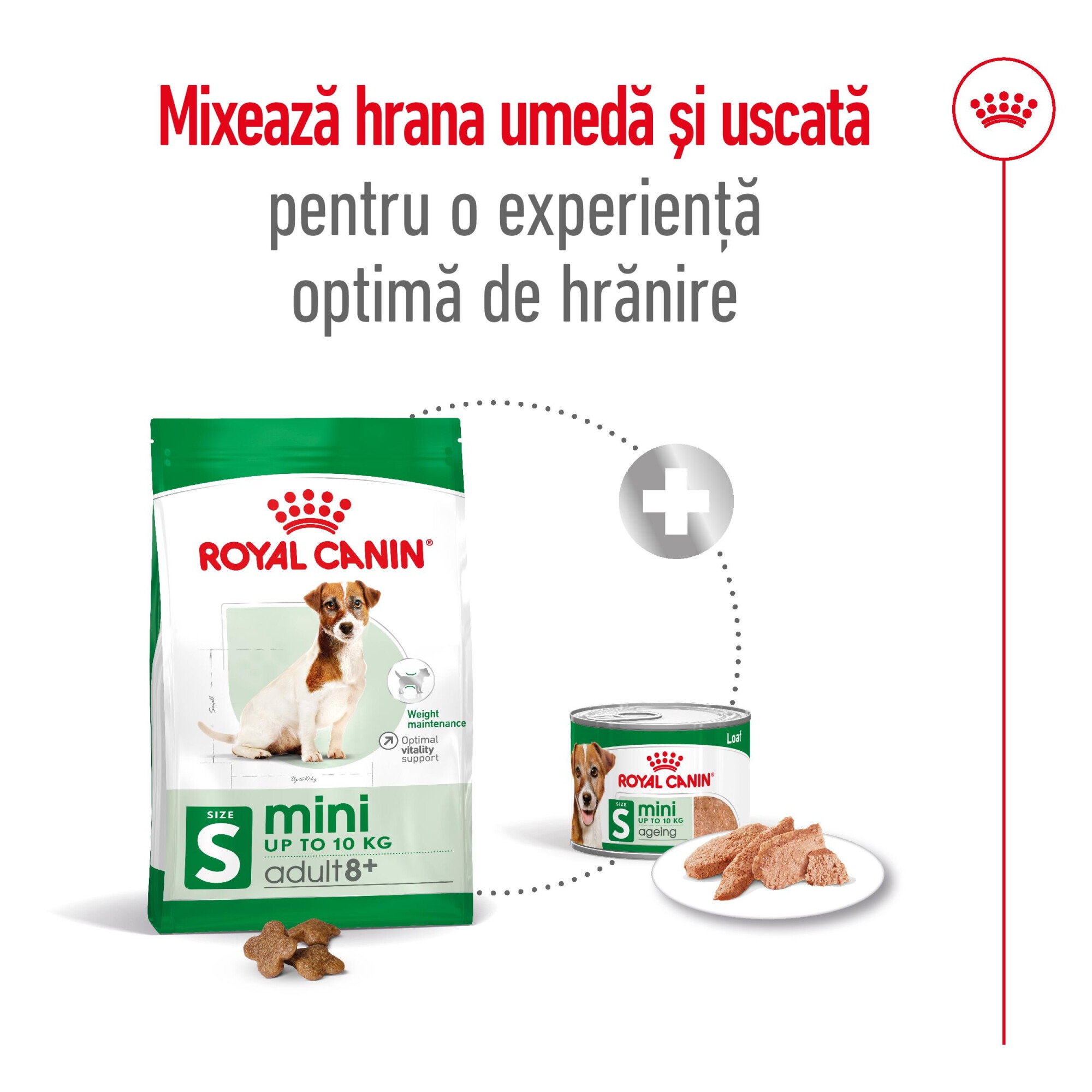 Hrana uscata pentru caini Royal Canin, Mini, Adult 8+, 8kg - eMAG.ro