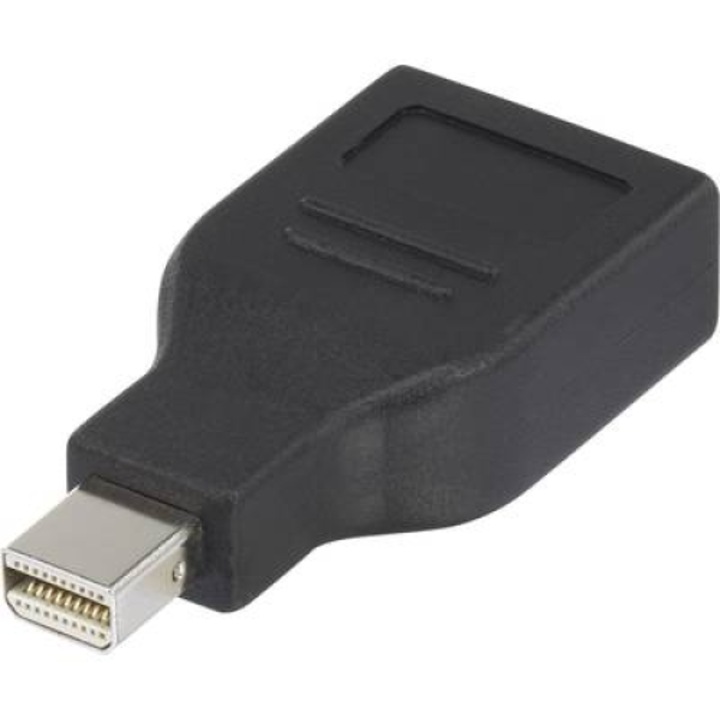 Адаптер за преобразуване на DisplayPort, 1x mini DisplayPort щепсел - 1x DisplayPort гнездо, позлатен, черен, Renkforce (RF-4174572)