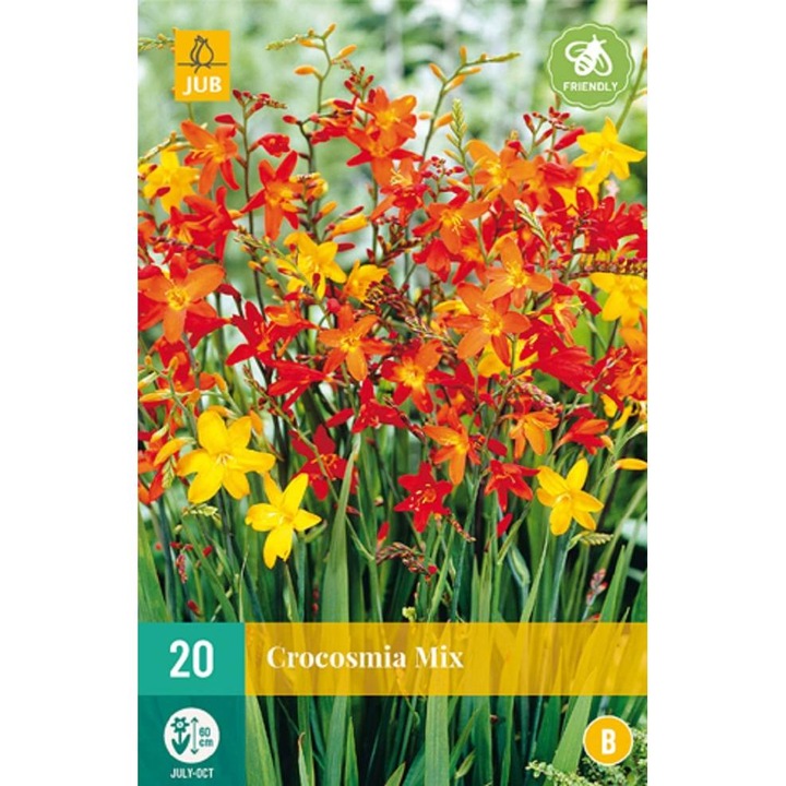 Bulbi, Crocosmia Mix, Jub Holland, 20 buc