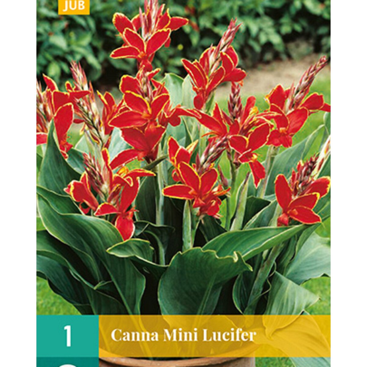 Rizom Canna Mini Lucifer 1 Buc 12 eMAG.ro