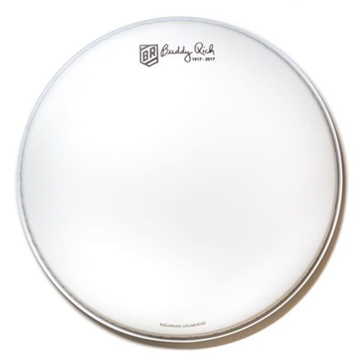 Disc toba, Aquarian, 14"