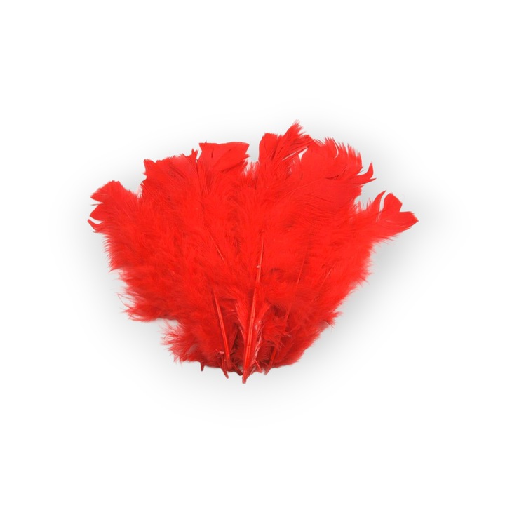 Set 20 pene decorative curca, lungime 10 - 15 cm, Rosu