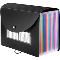 Dosar extensibil cu 24 buzunare, Darklove, Cu fanta pentru carte de vizita, fanta pentru suport de pix si etichete colorate, Pentru acasa, la birou, la scoala si in calatorii, 33 x 24cm, Polipropilena, Multicolor