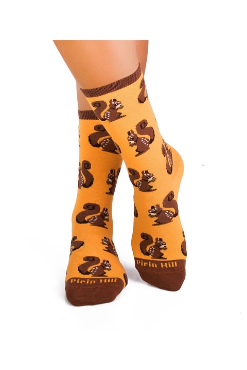 Чорапи Playful Squirrel, Памук, 31-34 EU, многоцветни