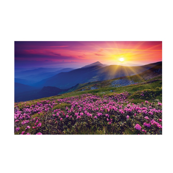 Tablou canvas 4Decor, Sunsets, 95x150cm, DE0174
