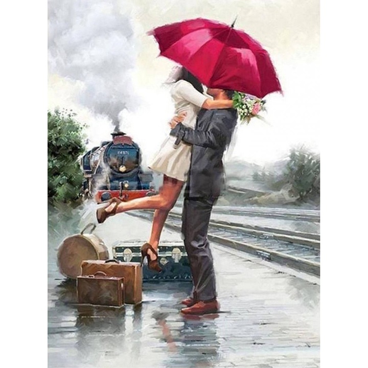 Set de broderie cu diamante 5d Patrat, Mmoments, 45X55Cm, Cuplu Indragostit Gara De Tren 2