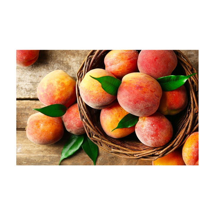 Tablou canvas 4Decor, Peach, 95x150cm, DE0273