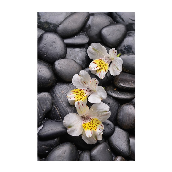 Tablou canvas 4Decor, Black stones, 95x150cm, DE0317