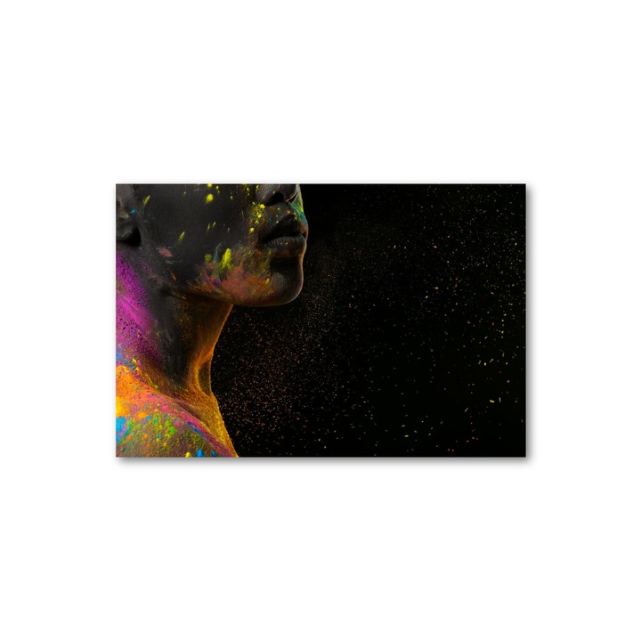 Tablou canvas - Colorat - 60x90cm