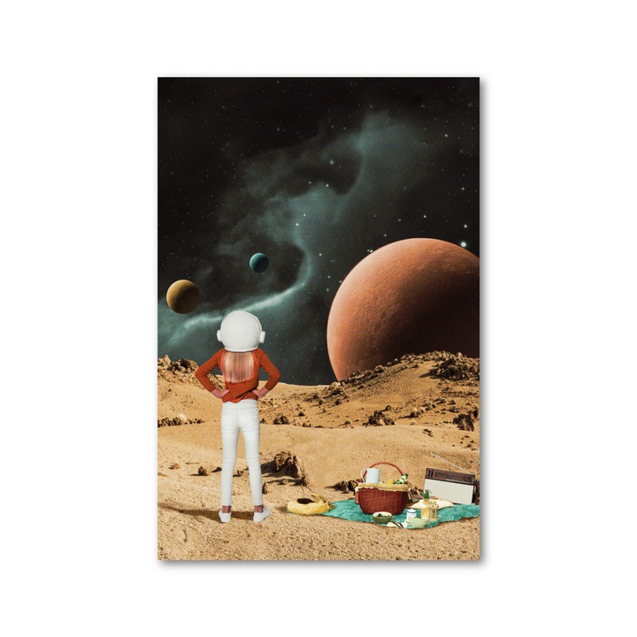 Tablou canvas - Space Journey - 60x90cm