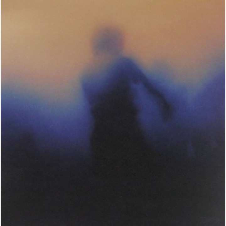 Daniel Avery: Love + Light [Winyl]