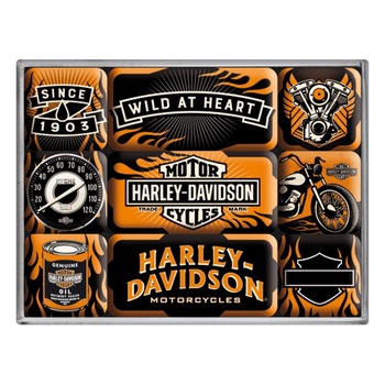 Set magneti - Harley Davidson Wild Heart Set magneti - Harley Davidson Wild Heart
