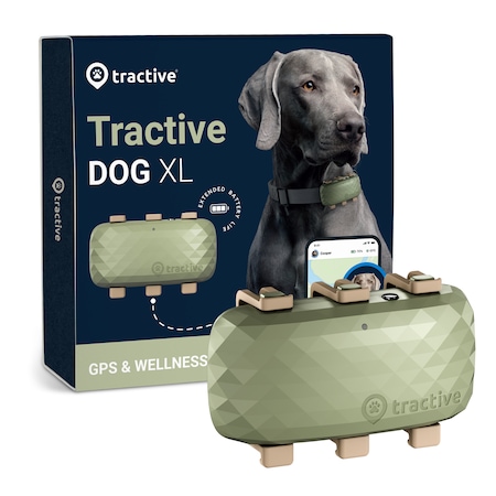 Dispozitiv de monitorizare GPS pentru caini, Tractive Dog XL, Verde