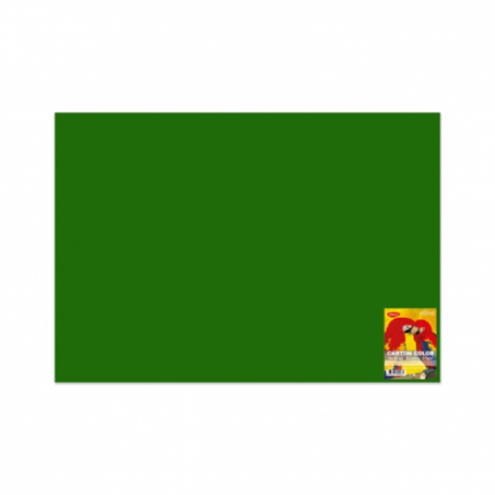 Carton color 270G/MP, 70X100 cm, 10 coli