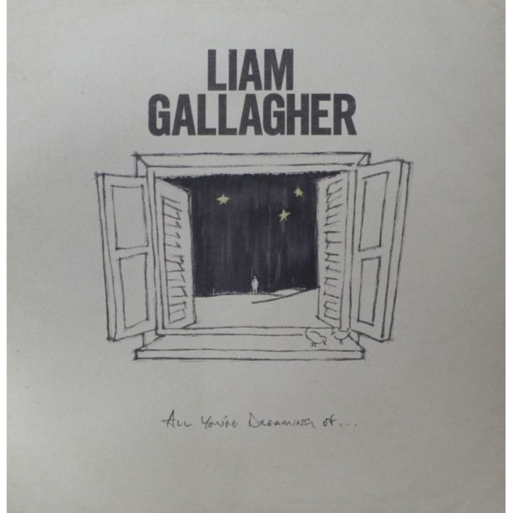 Liam Gallagher: All You're Dreaming Of (White) [Winyl]