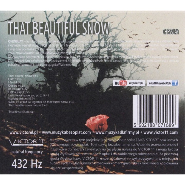 That Beautiful Snow 432 Hz - Chesslay [CD]