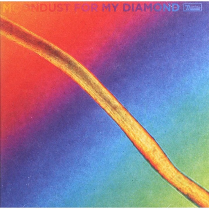 Hayden Thorpe: Moondust For My Diamond [CD]